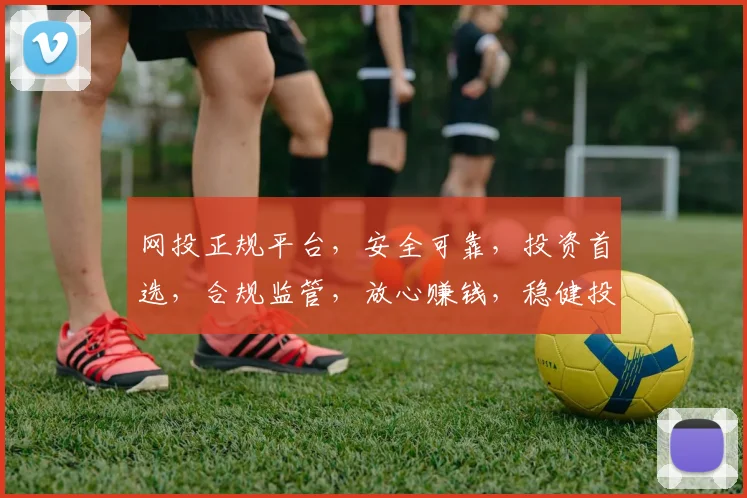 网投正规平台，安全可靠，投资首选，合规监管，放心赚钱，稳健投资之道