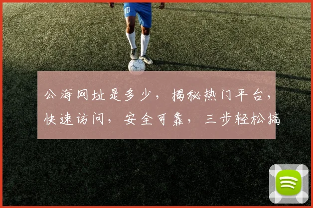 公海网址是多少，揭秘热门平台，快速访问，安全可靠，三步轻松搞定，不容错过